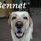 Bennet. 2005-2015